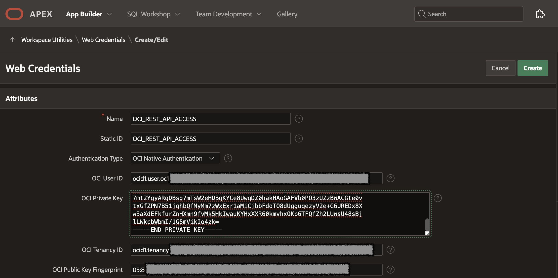 Create APEX Web Credential - Step 2