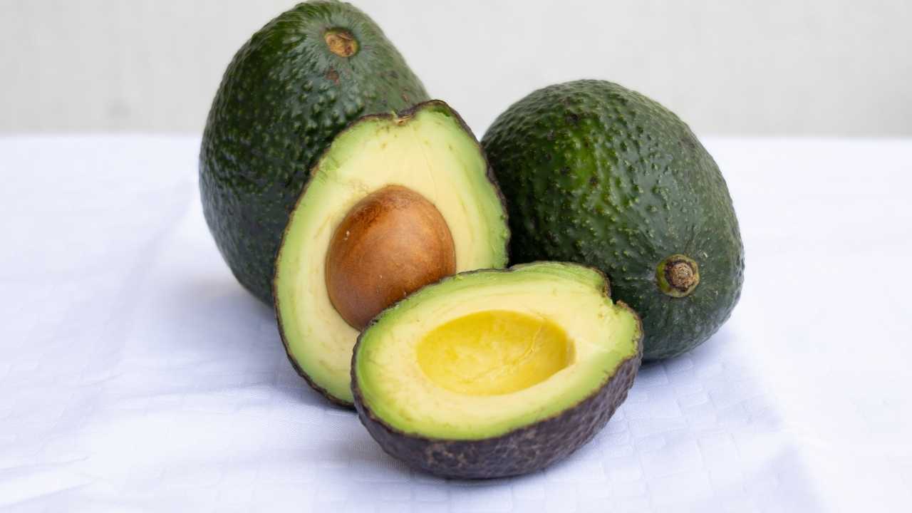 avokadolar
