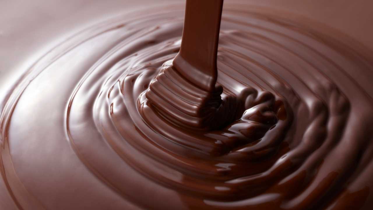 köpekler için zararlı olan yiyecekler arasında yer alan çikolata