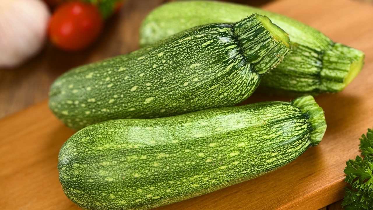 kedilerin yiyebileceği sebzeler arasında yer alan kabak