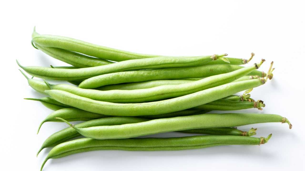 yeşil fasulye