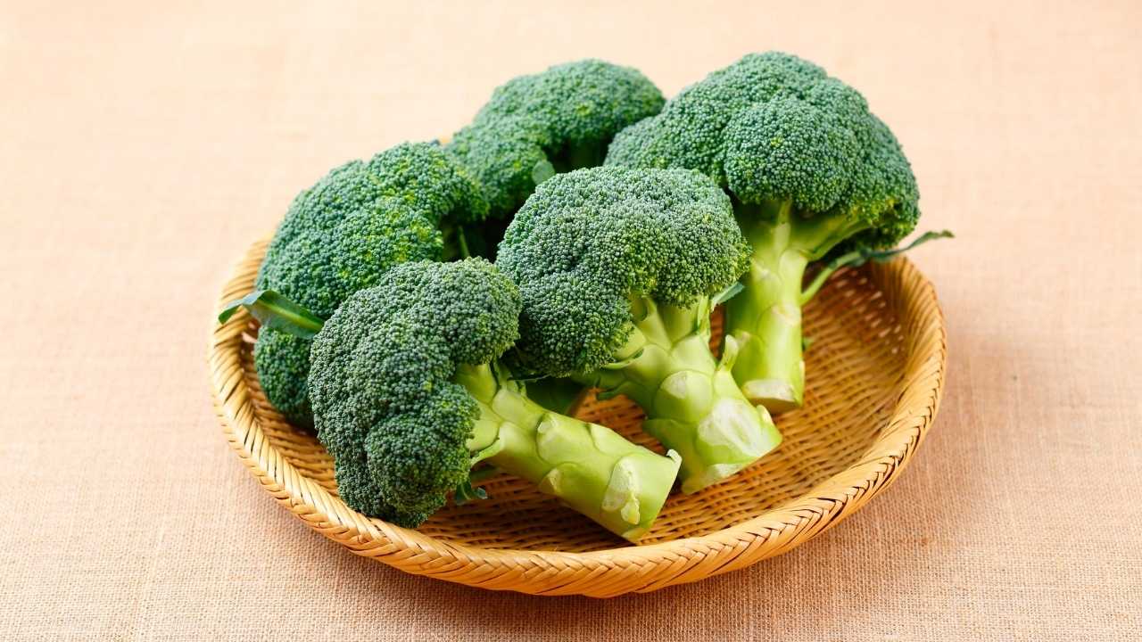bir tabak Brokoli